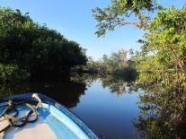 San Blas, Nayarit, balade en lanche dans la mangrove, la plus grande du Mexique